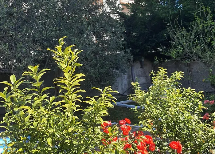 度假居 Begaj 奥里库姆